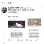 [드루와] 죄없는 <b>거위</b>로 죽인 그분들...
