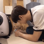 이짤로 한시까지 유사 쪄<b>와라</b>.