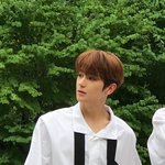 나 요즘 이사람들이 너무좋음.,