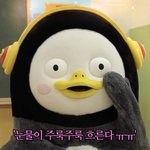 [댓글부탁해] 내일 졸사 찍는데 완전 급해 !!!!!!