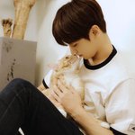 ㄷㅂㅇㅈ ㅇㅈㅇ ㅎㅈ이랑 잘어울리는듯