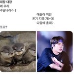<b>대장</b>드립 어디서부터 유행한거임??