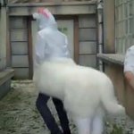 나 <b>민지</b>로 개명하고싳어