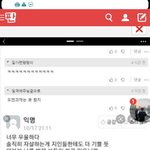 미쳤다 방금 개 띵언 봄