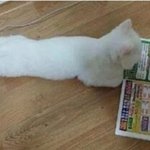2주 벼락치기로 전교 <b>한자릿수</b> 가능?