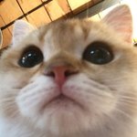 [19] <b>수행</b> 내용 생기부에 들어감?