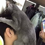 얘들아 <b>백퍼</b> 뒷말 나왔다 추반 좀