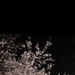 [드루와] +추) 나 학교 조퇴하고 <b>선별</b>진료소 갔다옴