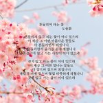 지금 열나는데 바로 <b>선별</b>진료소 가야해?