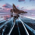 자연 사진계의 오스카상!