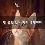 [좋은생각] 별 <b>볼일</b> 없는 것이 특별하다~