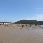 [강아지] 강아지와 갯벌체험!