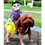 강아지에게 옷입혀봤습니다