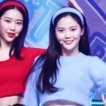 [알페스] 진짜 백 리 <b>밖</b>에서 봐도 고양이랑 토끼다