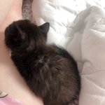 [19] 야 너네 <b>페북</b>친신오면 뒤져보냐?ㅋㅋ