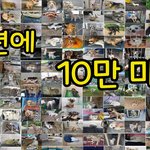 [이것좀봐줘] 유기견 10만마리가 <b>매년</b> 버려진데요..