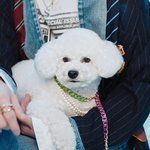 오비비 <b>엘레</b>강스해
