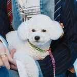 [EXO] 울 <b>비비</b> 방송에 이어 뮤비까지!!! <b>비비</b> 데뷔하자