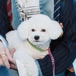 <b>조나</b>쎈 오빠한테 안겨있는