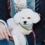 <b>Like</b> 마치 비비~