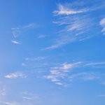 본진 청량 가사 한<b>줄씩</b> 쓰고가기