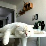 [드루와] 인스타 아이디 간지 알려드림