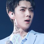 [EXO] 오세훈 목타투 모르는 사람이랑 <b>겸상</b>안함