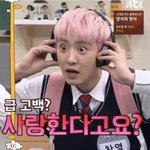 [EXO] 제목<b>학원</b>이랑 관련 짤들 있는거 다 푼다 ㄱㄱ