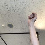 [드루와] 얘들아 내 <b>겨털</b> ㅈㄴ길지 ㄹㅇ