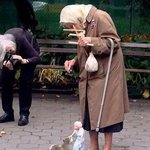 심각하게 귀여운 <b>야생</b> 다람쥐