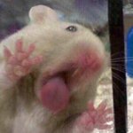 저...<b>정구</b>가