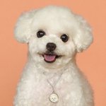 [골든차일드] 홍뽀글 <b>증명</b>사진 좀 봐ㅠㅠㅠㅠㅠ