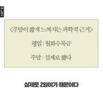 주말이 짧게 느껴지는 <b>과학적</b> 근거.jpg