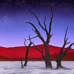 눈부시게 환상적인 파노라마 사진