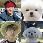 <b>전전</b>꾸 보고딮.........