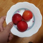 [19] 딩<b>초의</b> 졸사 찍고 난 후기 [08]