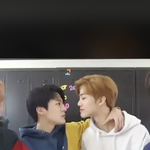 [알페스] 진짜 서울의 개 구라 안 치고