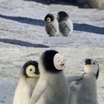 [댓글부탁해] <b>민아</b> 일 다시보는데 내가 다 맘아프다