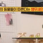 [TXT모아] 툽탐/ 앵무새 토토의 인싸<b>기질</b>을 파헤침
