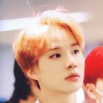 치타~~~~ <b>볼일</b>봐~~~~