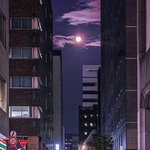 +) 아이돌노래는 솔직히