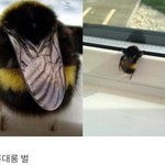 나도 짝남 찾고 싶다 ㅅㅂ ...