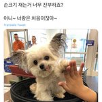 몬엑 팬싸 후기는 그게 최고임