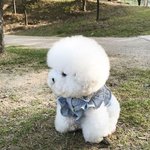 [댓글부탁해] 날 짝사랑하던 애가 내 <b>페북</b>스토리