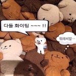 이런 짤 공유 좀~~