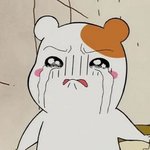 꼭<b>쥐쓰</b> 조카 극단적으로 크기 vs 작기