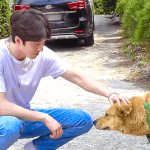 [<b>SF9</b>] 울희도 망상짤 그런거 해보쟈