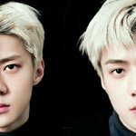 와 <b>짝눈</b>의 좋은 예