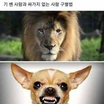 얘들아 나 <b>잇팁</b>이거든?