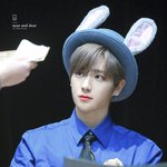 토끼모자 쓴 <b>강지</b>